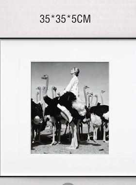 简约现代轻奢样板房书柜装饰柜隔陈设装饰画 画折纸摆件书房假书