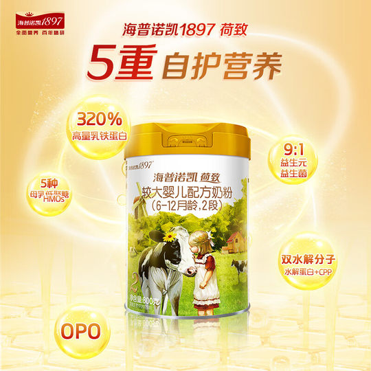 Сухая молочная смесь Hypnoka 1897 800г