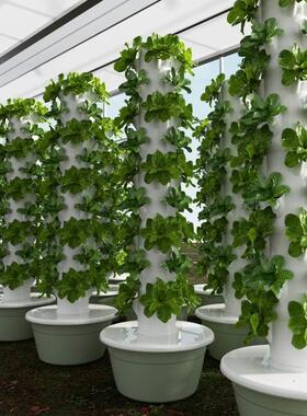 空间树水培塔楼顶蔬菜种植花盆架垂直无土栽培设备阳台种菜专用箱