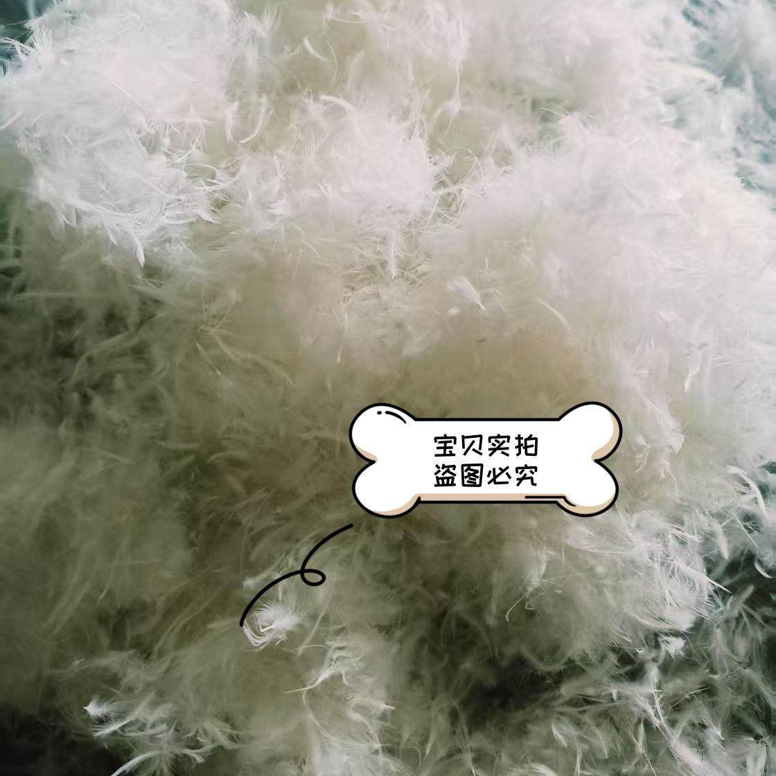 散装羽绒5%低分绒小羽毛绒片枕头靠垫沙发被子填充物原料厂家直销,淘宝优惠券,粉丝福利购,淘宝优惠卷