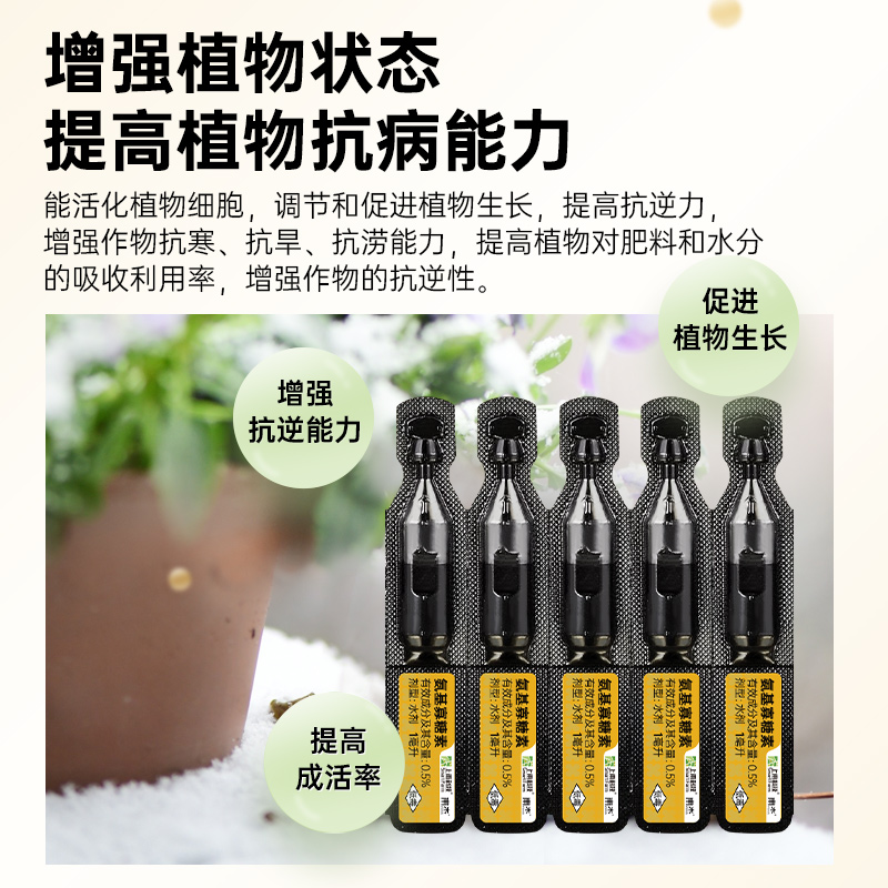 上甫0.5%氨基寡糖素番茄西红柿病毒病花叶病植物抗农药杀菌杀虫剂