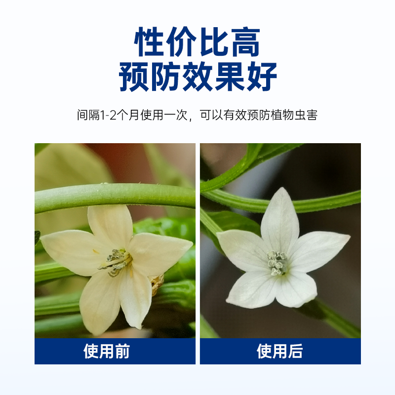 30%联苯噻虫嗪 锐纵菊酯小麦蚜虫黄守瓜跳甲蓟马飞木虱农药杀虫剂