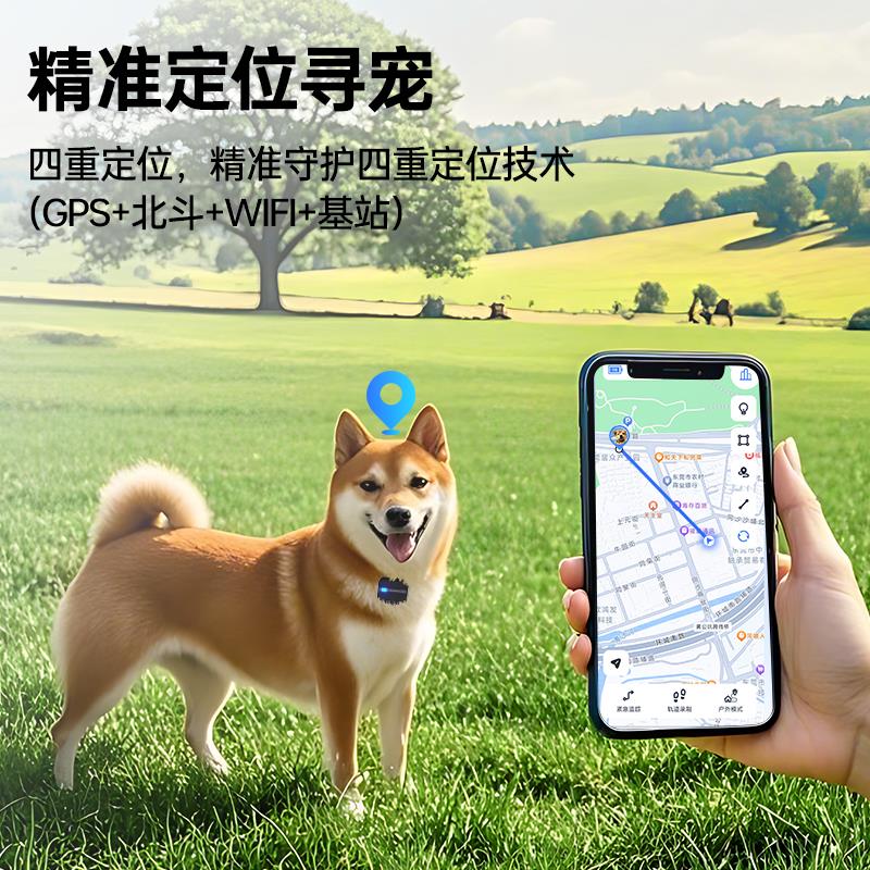 多尼斯狗狗防丢定位器宠物定位神器项圈猫咪GPS追踪器防水C5 - 图0
