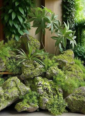 彷真泡沫石室内户外别墅橱窗造景庭院布景假石头苔藓假山装饰道具