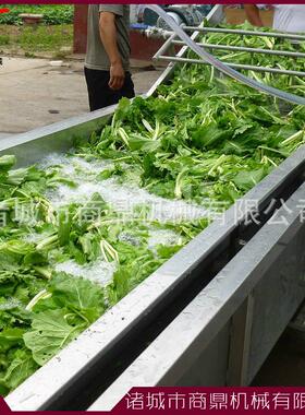 供应商鼎牌 蔬菜喷淋清洗机 新疆大枣喷淋式清洗流水线