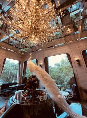 【精品】彷真白孔雀动物摆件家居装饰鸟类标本模型真羽毛摄影道具