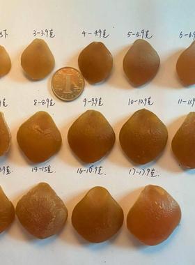 青鱼石真品青鱼石原石 鱼惊石青鱼喉骨 吊坠项链手链饰品礼物节日