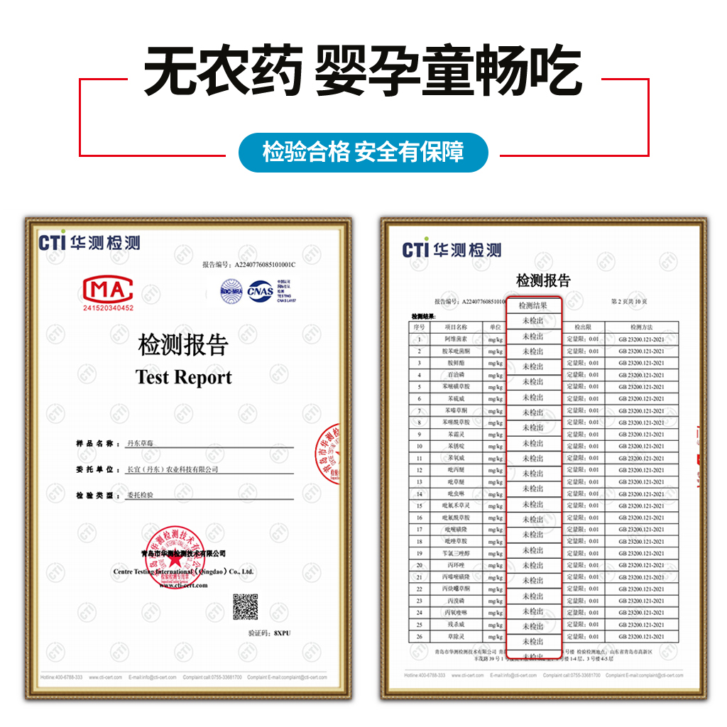 初遇季丹东草莓99红颜九九牛奶奶油大草莓新鲜水果孕妇宝宝放心吃