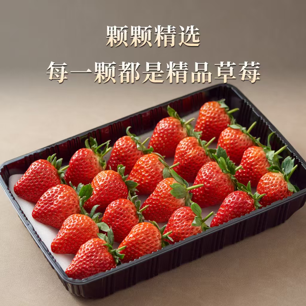 初遇季丹东草莓99红颜九九牛奶奶油大草莓新鲜水果孕妇宝宝放心吃