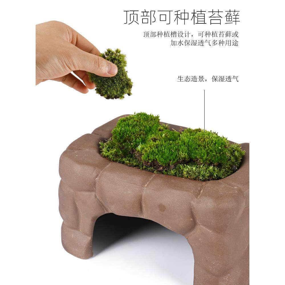 黄缘龟专用躲避屋窝爬宠半水龟饲养箱蓄水保湿造景洞穴陶瓷瓦片,淘宝优惠券,粉丝福利购,淘宝优惠卷