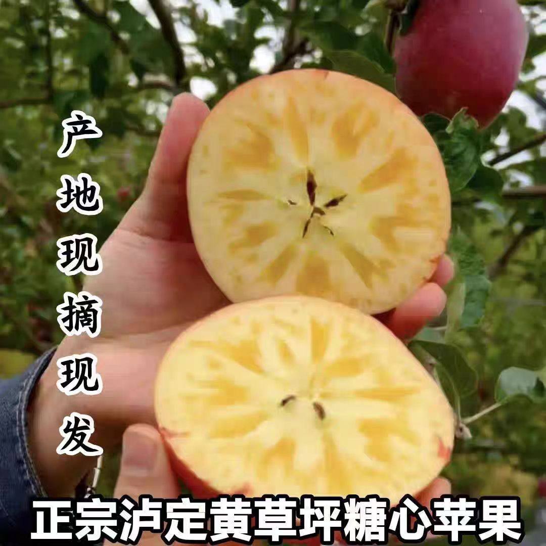 四川甘孜康定泸定县黄草坪正宗糖心苹果(精品中大果)送礼佳品,淘宝优惠券,粉丝福利购,淘宝优惠卷