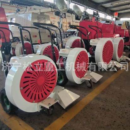 工程路面手推式吹扫机 地面清扫马路吹风机大功率汽油吹风机,淘宝优惠券,粉丝福利购,淘宝优惠卷