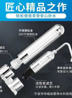 新款史蒂夫净水器直饮净水机不锈钢过滤器家用厨房自来水净化滤水