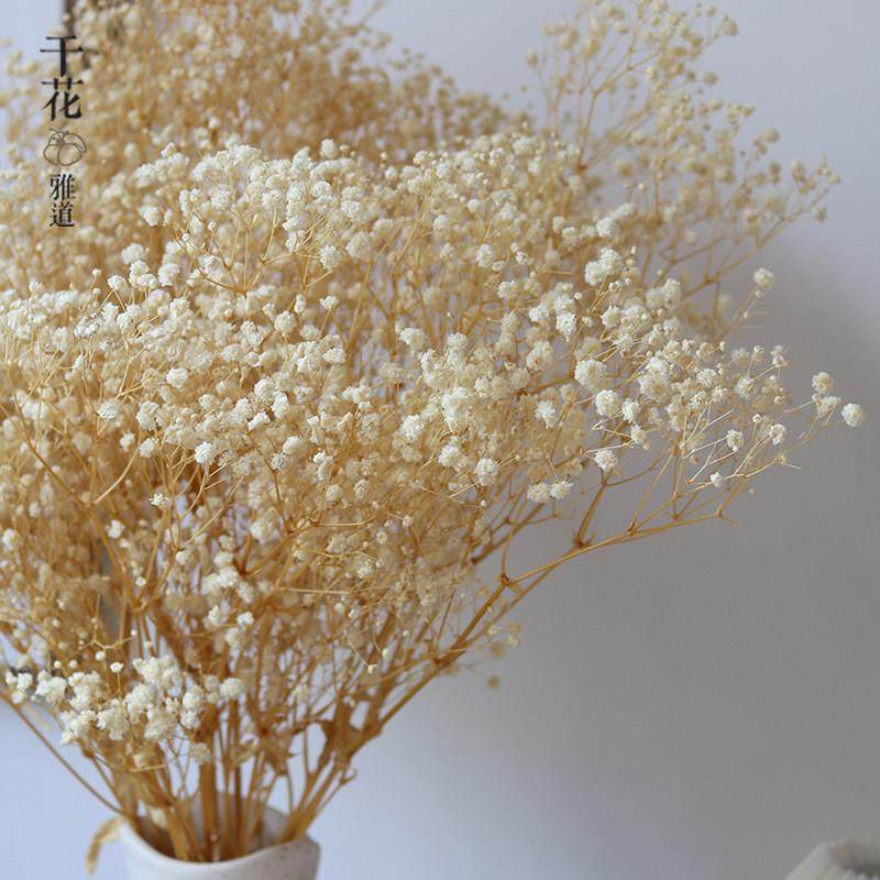 满天星永生花花束家居摆设 diy装饰摆饰轻奢ins小清新北欧风桌面,淘宝优惠券,粉丝福利购,淘宝优惠卷