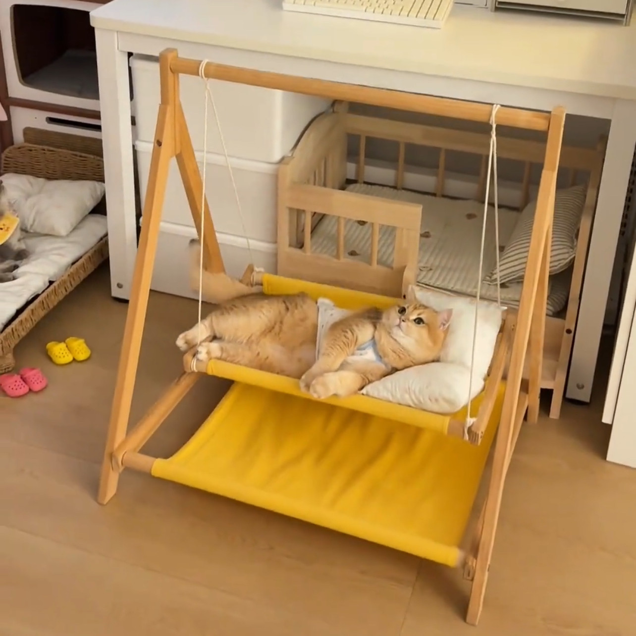 小猫小型犬可爱便携悬挂式秋千吊床摇篮猫咪吊床上下双层猫窝夏季,淘宝优惠券,粉丝福利购,淘宝优惠卷