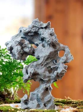 仿真太湖石小摆件客厅阳台庭院微型沙盘盆景鱼缸假山石水景观造景