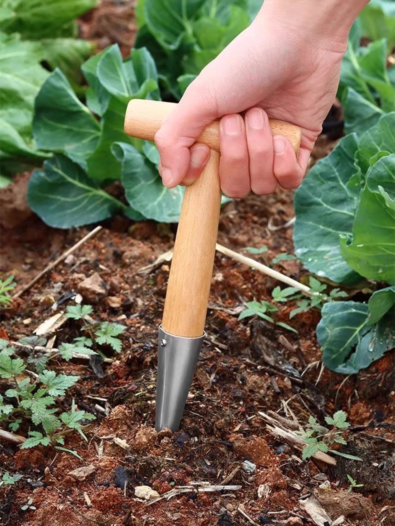 播种打洞器移苗追肥种菜不锈钢育苗菜籽多肉工具播籽花园种苗神器,淘宝优惠券,粉丝福利购,淘宝优惠卷
