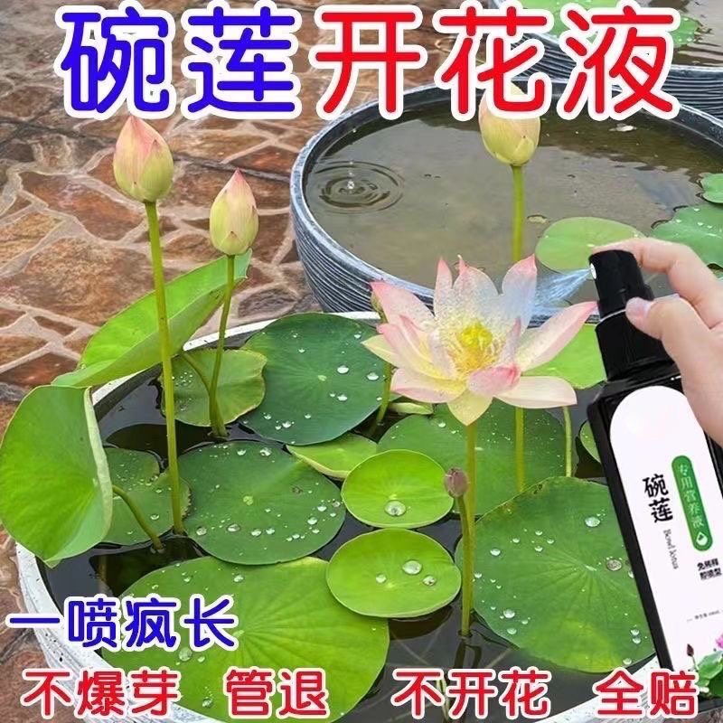 睡莲碗莲专用营养液肥料通用水溶肥发芽生根开花养殖荷花水养莲花,淘宝优惠券,粉丝福利购,淘宝优惠卷