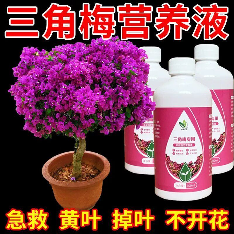 三角梅营养液专用催花养花通用型梅花盆栽家用花卉促开花液促开花,淘宝优惠券,粉丝福利购,淘宝优惠卷
