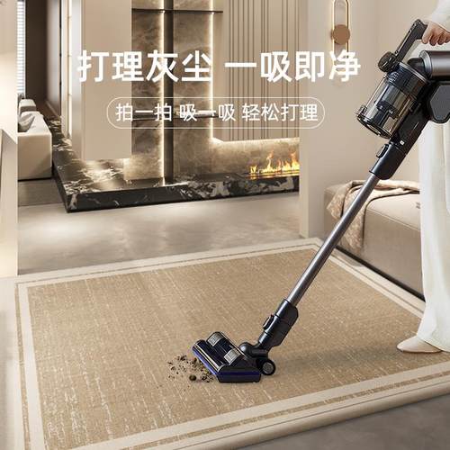 入户门地垫2025新款高级感进门门口防滑耐脏地毯免洗可擦加厚垫子 - 图0