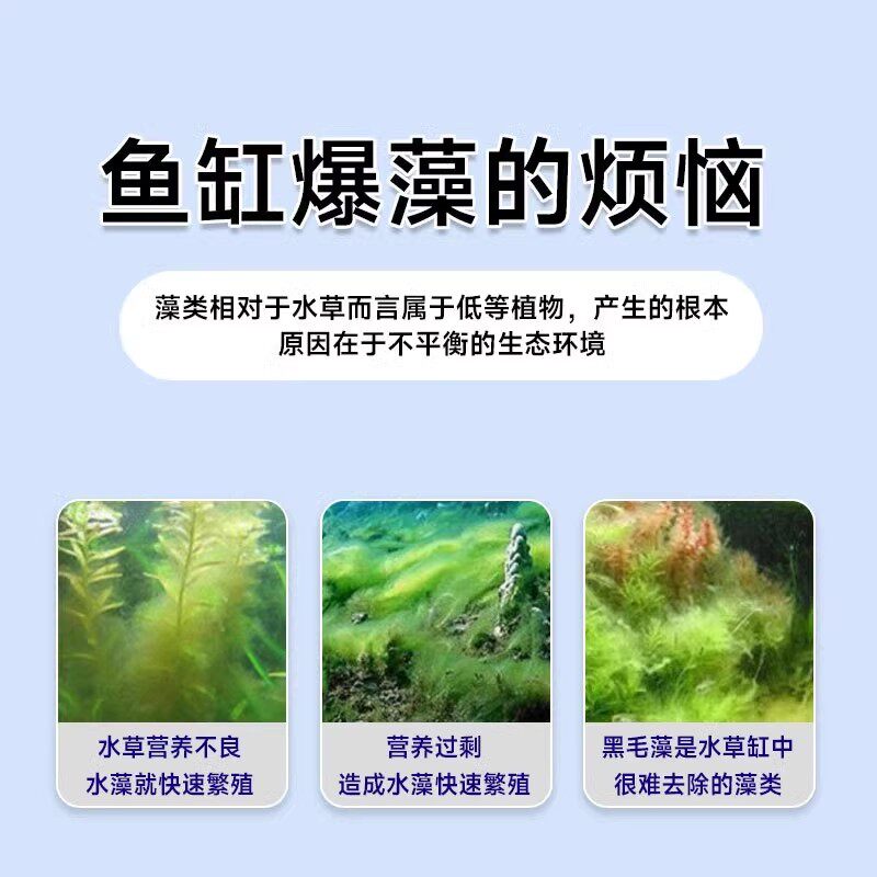 鱼缸除藻片鱼缸青苔清理神器去除绿藻绿水褐藻丝藻黑藻除水垢专用