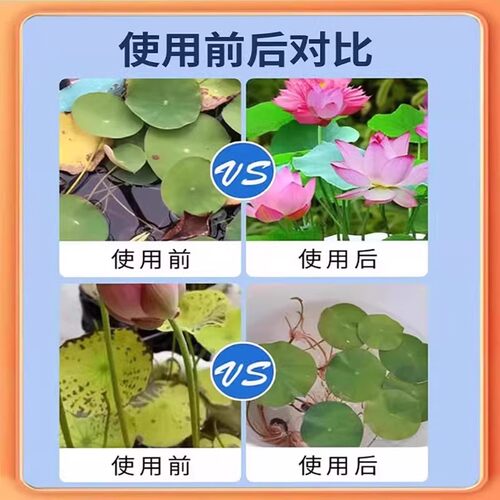 碗莲荷花净水片催芽睡莲开花黄叶叶面黑烂叶增肥水培绿植园艺肥料 - 图1