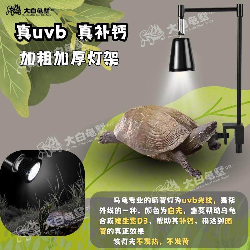 专业乌龟晒背灯/晒背UVB 10.0 白光灯,淘宝优惠券,粉丝福利购,淘宝优惠卷