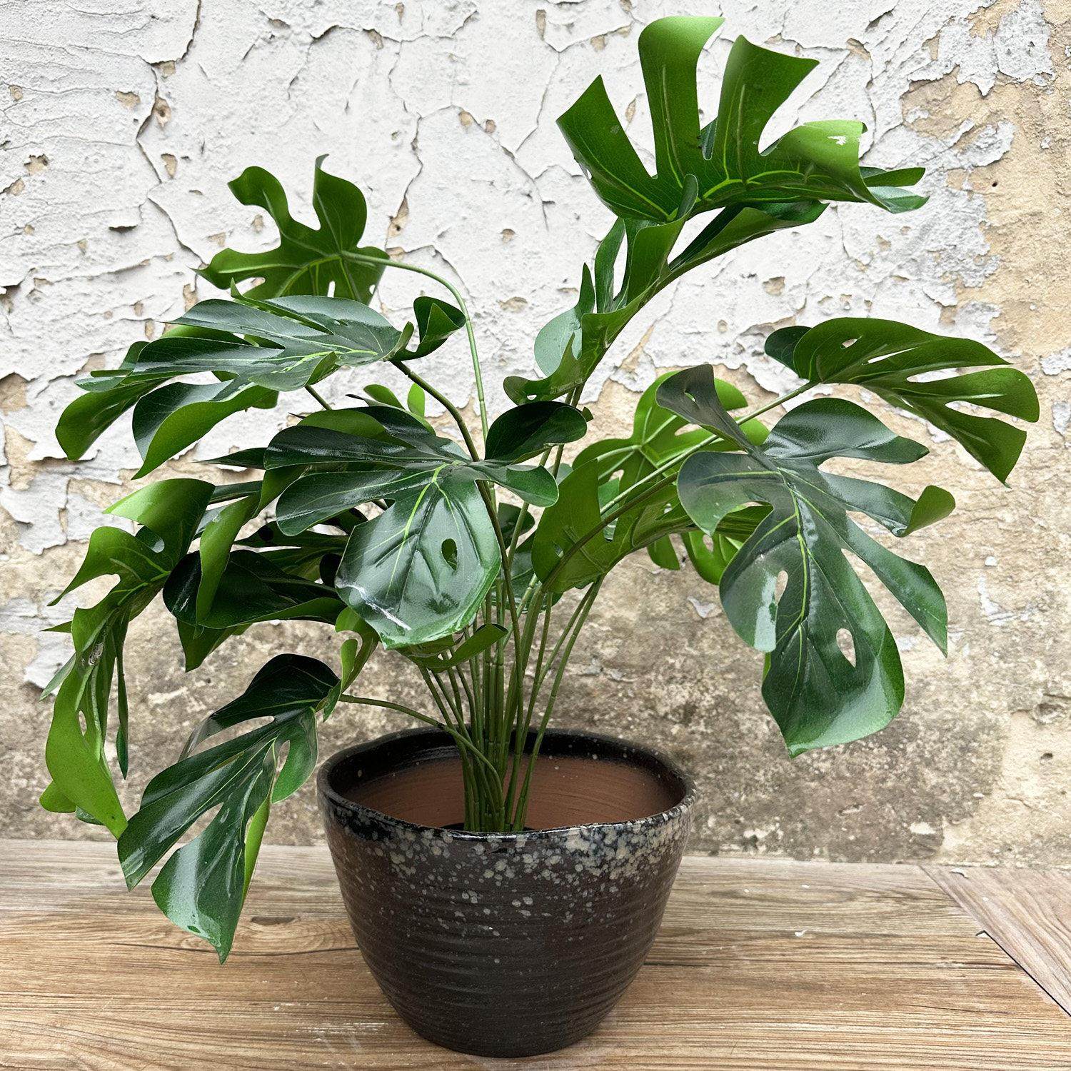 手工陶艺大口径粗陶罐子创意盆景盆栽拼盘乌龟缸覆古无孔水培花盆,淘宝优惠券,粉丝福利购,淘宝优惠卷