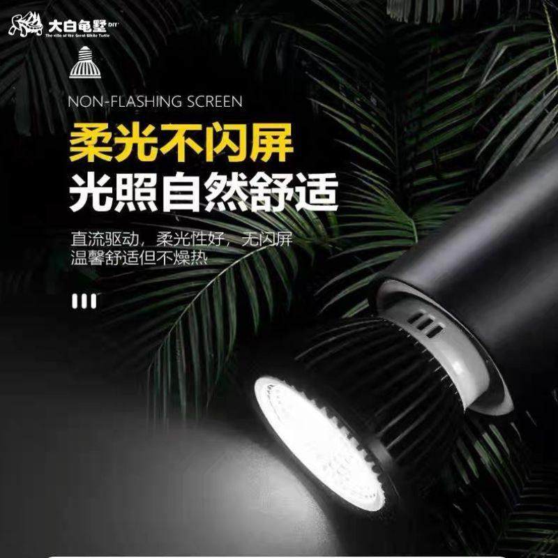 专业乌龟晒背灯/晒背UVB 10.0 白光灯,淘宝优惠券,粉丝福利购,淘宝优惠卷
