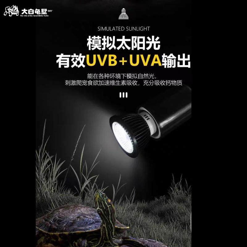 专业乌龟晒背灯/晒背UVB 10.0 白光灯,淘宝优惠券,粉丝福利购,淘宝优惠卷