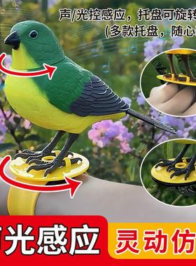模拟鸟传感器鸟装饰可以吠叫和说话花园园艺小饰品创意家居装饰陈