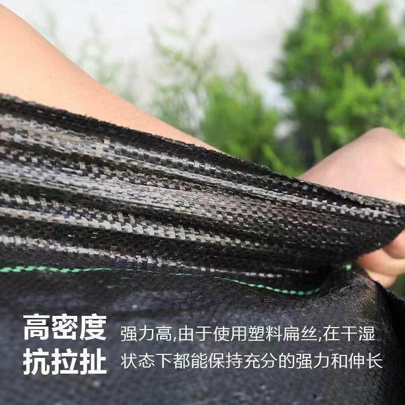 防草布农用抑草除草布地布地膜果树盖草布遮草地布透水透气打孔,淘宝优惠券,粉丝福利购,淘宝优惠卷
