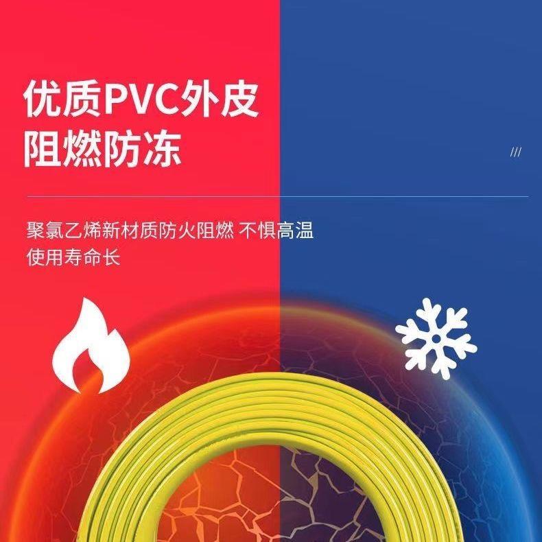 国标纯铜电线BV4平方纯铜芯线2.5家装1.5 6 10 阻燃家用单芯电线 - 图2