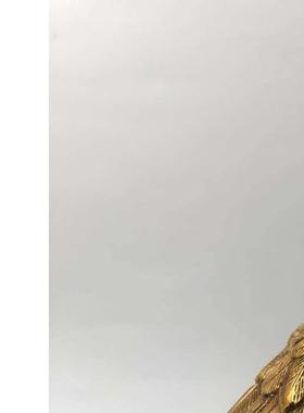 黄铜雄鹰摆件纯铜大展宏图老鹰客厅办公室装饰品店铺开业老鹰摆设