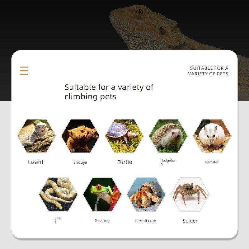 恒温爬宠饲养箱乌龟过冬眠保温箱守宫盒鬃狮蜥蜴宠物角蛙爬虫动物,淘宝优惠券,粉丝福利购,淘宝优惠卷