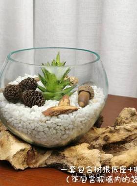 正品沉木木鱼创意性绿萝铜个钱草玻璃水培花插 禅意 新中式枯小缸