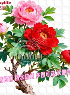 国色牡丹花吉祥繁荣昌盛平面自贴