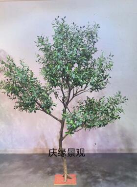 仿真橄榄树人造景观绿植庭院玄关装饰酒店商场室内摆件假树