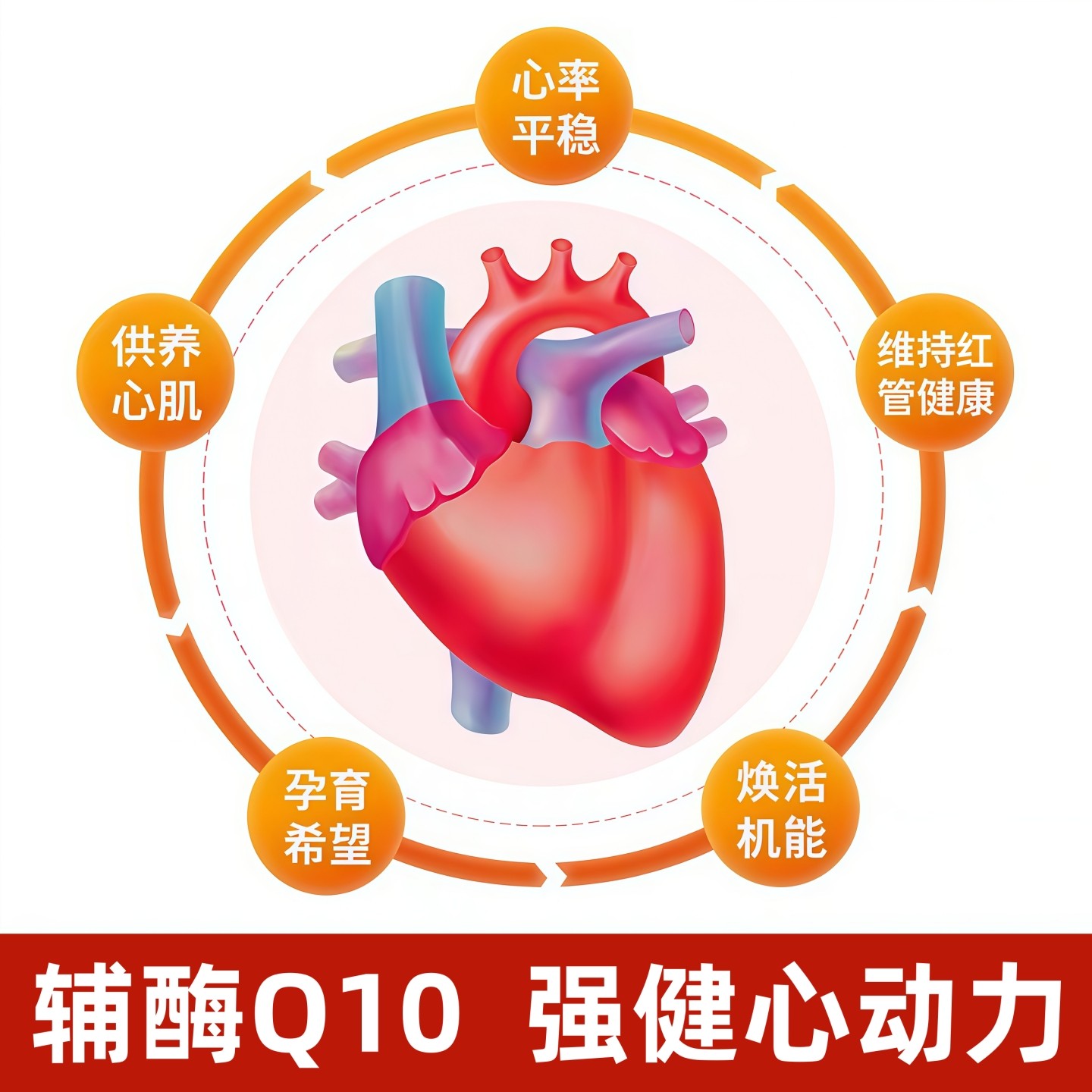 美国进口品牌辅酶q10软胶囊心脏保健品成人中老年人卵磷脂还原型K,淘宝优惠券,粉丝福利购,淘宝优惠卷