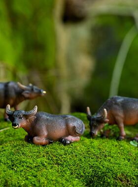 创意仿真小水牛摆件桌面客厅树脂动物装饰微景观小牛盆景假山造景