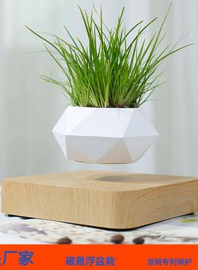 新款磁悬浮盆栽空中盆栽植物悬空花盆客厅办公室创意摆件