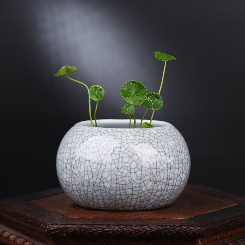 铜钱草草水养绿萝桌面水培办公桌哥窑花瓶陶瓷小花盆无孔专用器皿,淘宝优惠券,粉丝福利购,淘宝优惠卷