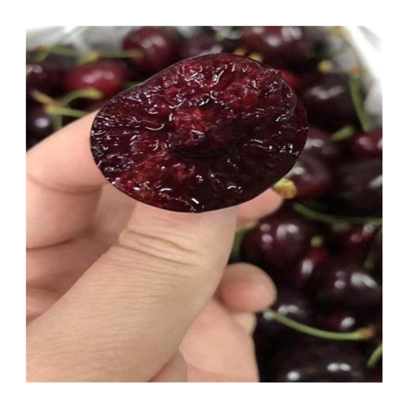 现货科迪亚新西兰进口车厘子新鲜水果kordia大樱桃原箱礼盒装顺丰,淘宝优惠券,粉丝福利购,淘宝优惠卷