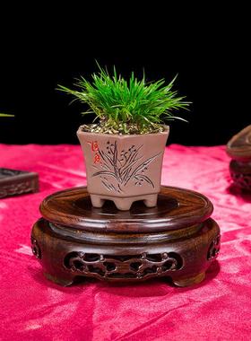 花盆底座托架圆形实木花瓶奇石佛像摆件工艺品小鱼缸架底座木托