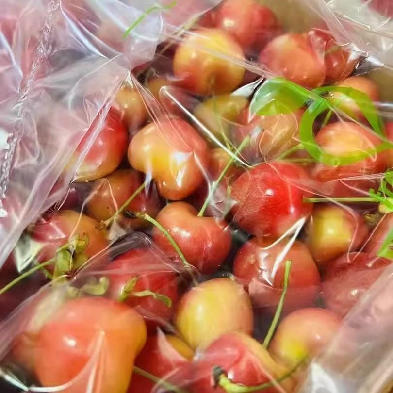 斯凯拉雷车厘子天空之城skylarrae金黄樱桃孕妇新鲜水果送礼顺丰,淘宝优惠券,粉丝福利购,淘宝优惠卷