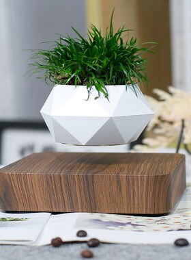 磁悬浮简约创意客厅招财摆件植物盆栽领导女男朋友生日毕业礼物品