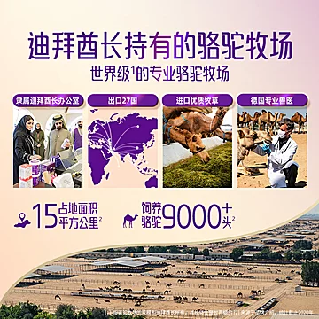 [临期]Camelicious迪拜原装进口纯驼乳粉[337元优惠券]-寻折猪