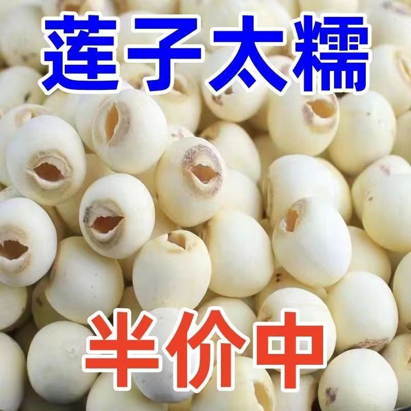 湖南正宗莲子干货饱满去芯白莲子500g大袋装新货绿色滋原料新鲜 - 图0