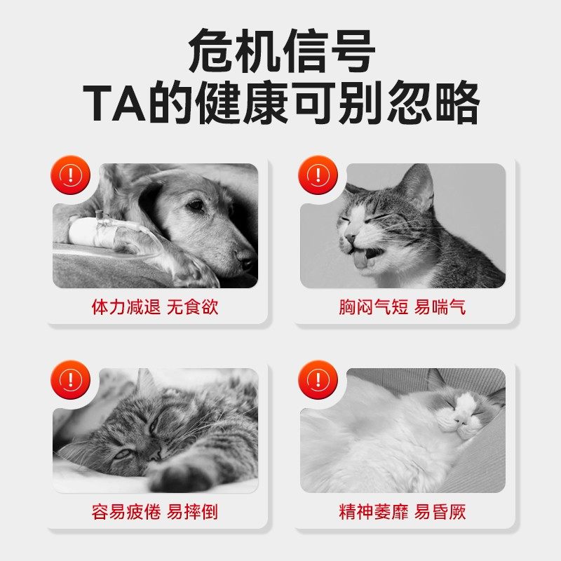 【买2送1】兽护神护心Q10辅猫咪狗狗保护心脏肥大健康萌道主辅酶,淘宝优惠券,粉丝福利购,淘宝优惠卷