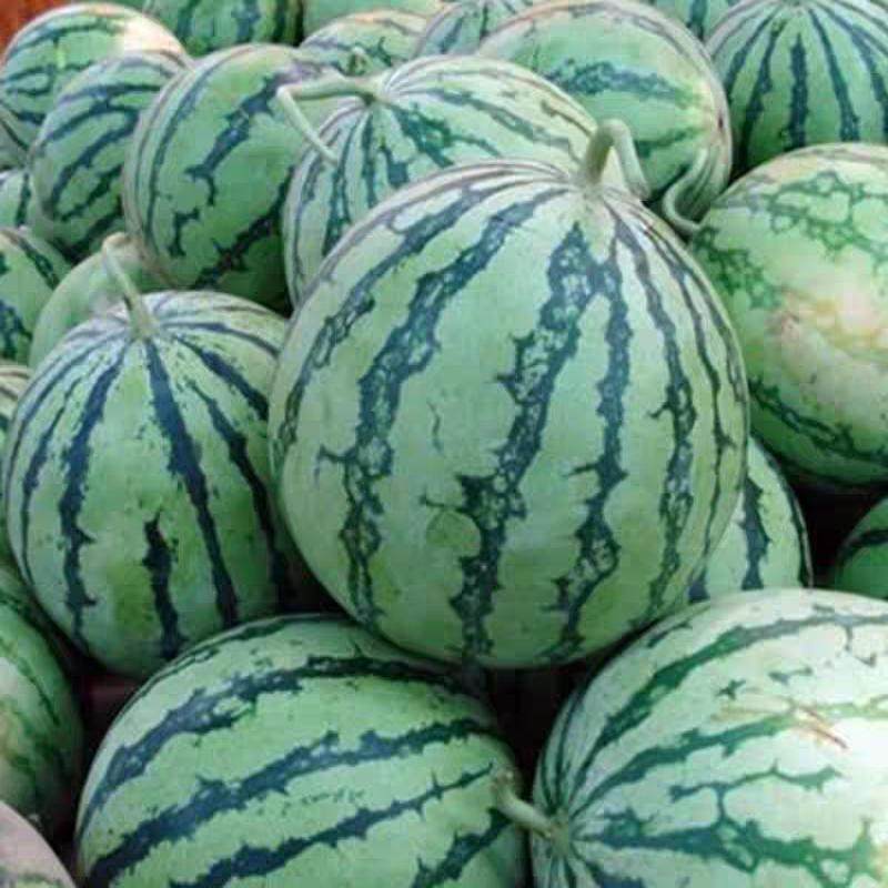 海南麒麟西瓜南汇三亚新鲜当季孕妇水果整箱脆甜西瓜现摘水果西瓜,淘宝优惠券,粉丝福利购,淘宝优惠卷